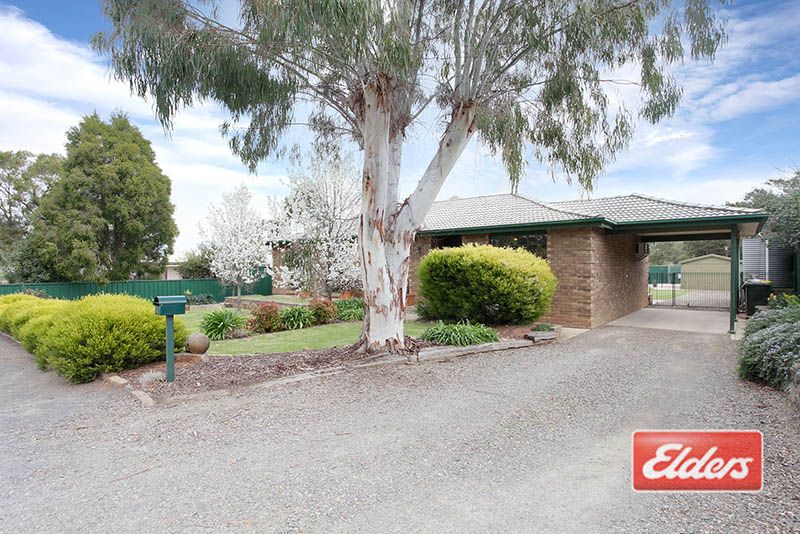 4 Shannon Street, Kapunda SA 5373, Image 2