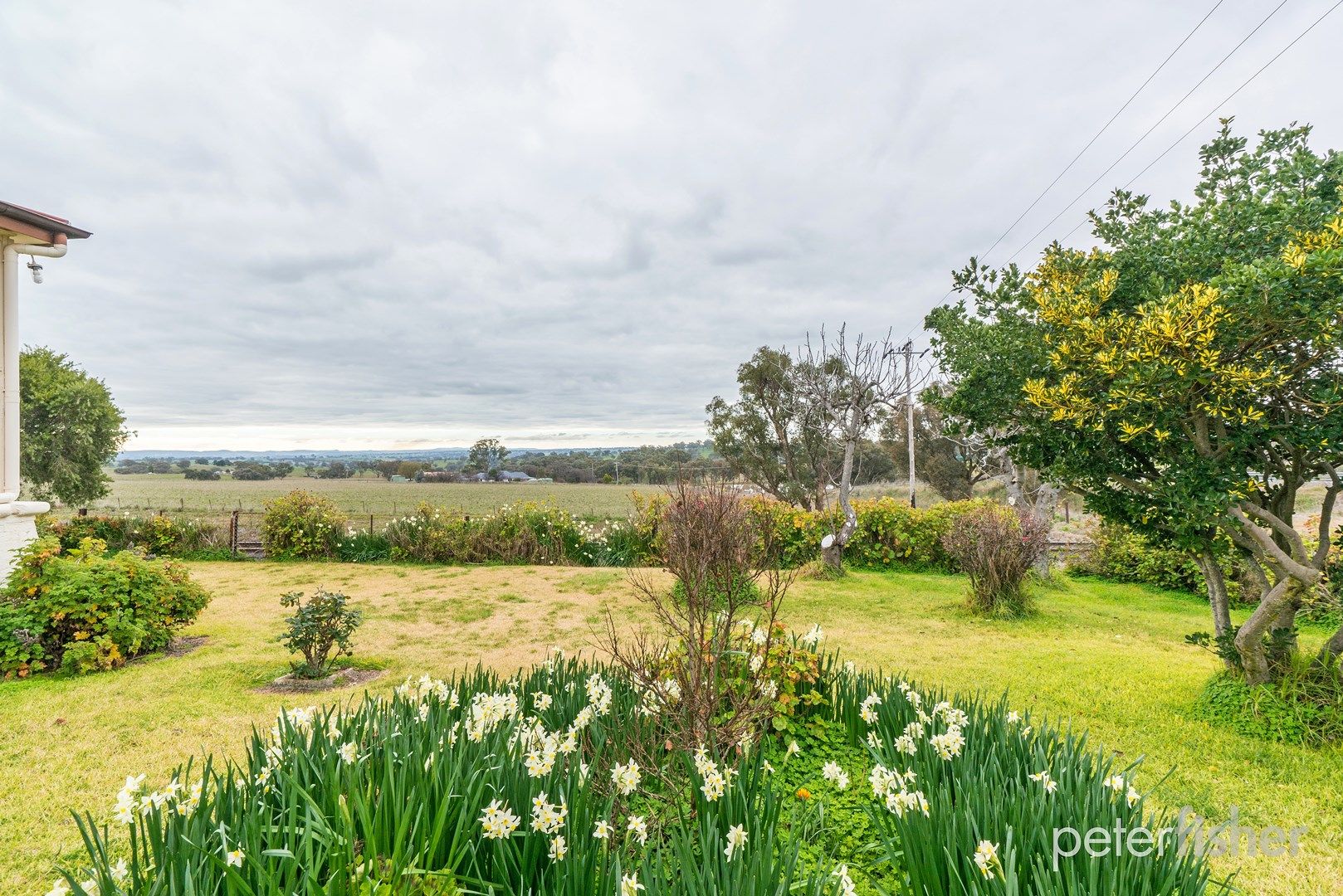 800 Amaroo Road, Orange NSW 2800, Image 0