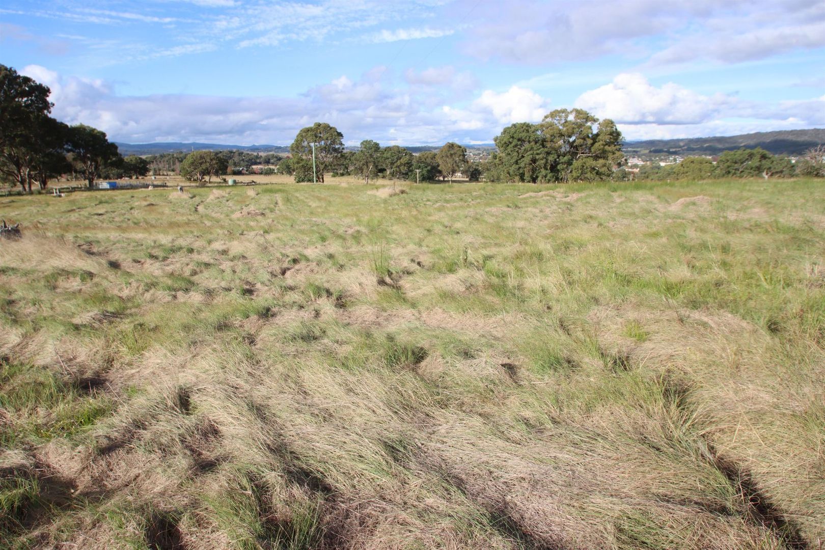 Lot 826 Neagles Lane, Tenterfield NSW 2372, Image 1