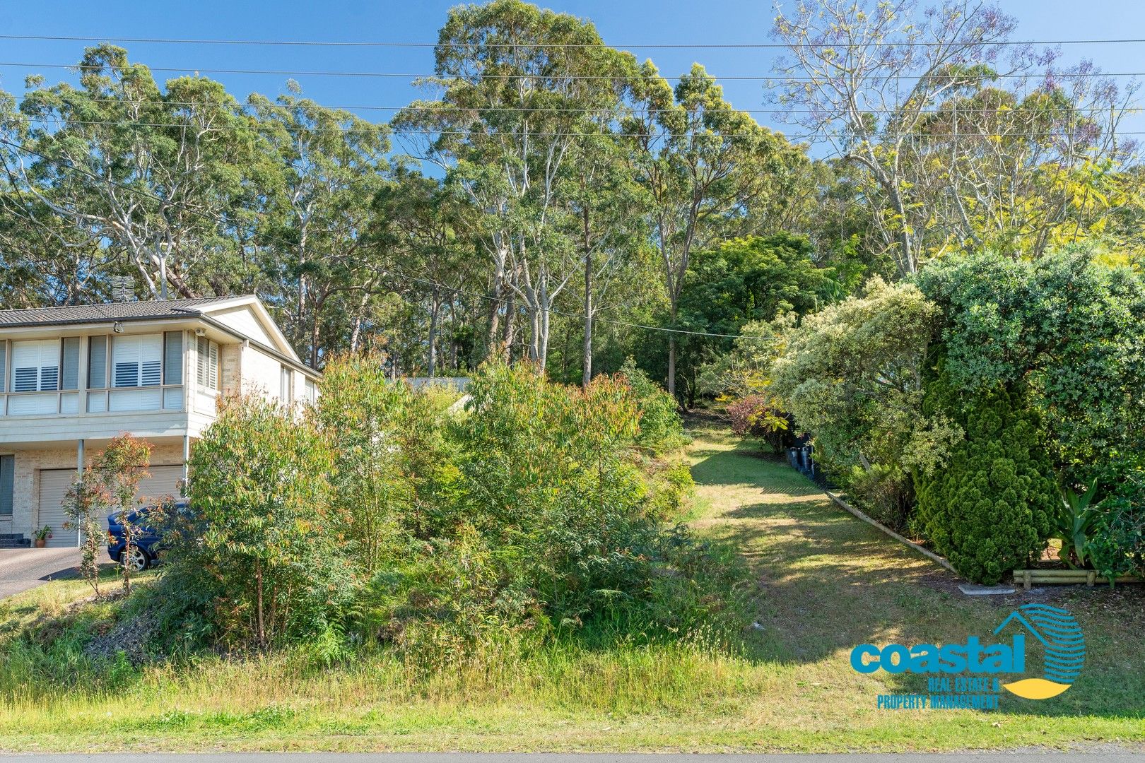 1303 Lemon Tree Passage Road, Lemon Tree Passage NSW 2319 Domain