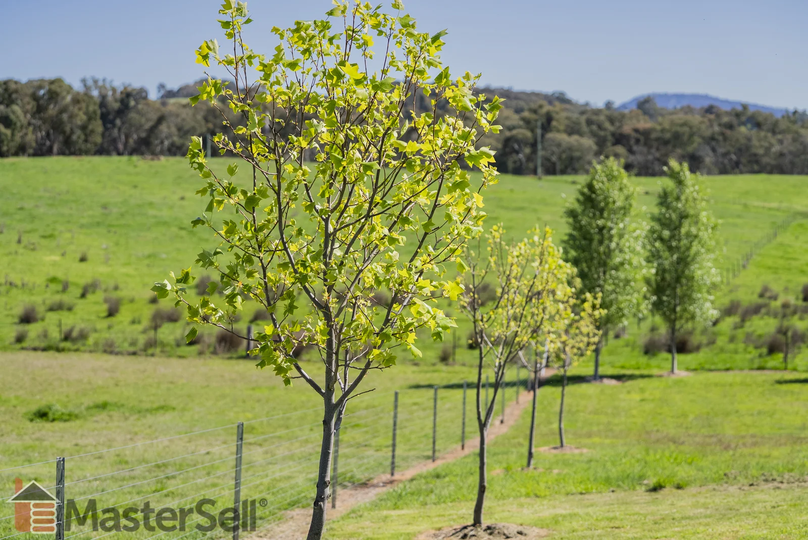 Additional image 12 of 172 Murray’s Crossing Road, Tumbarumba NSW 2653