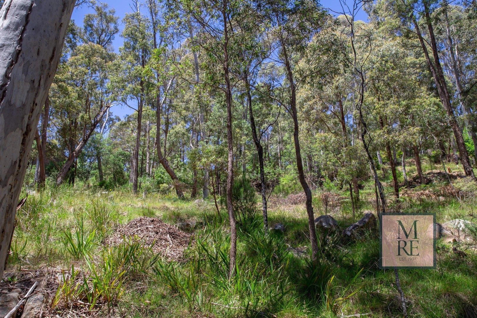 26 Christensen Street, Sawmill Settlement VIC 3723, Image 0