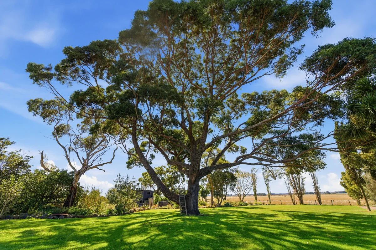 Additional image 37 of 322 Toolong Road, Toolong VIC 3285