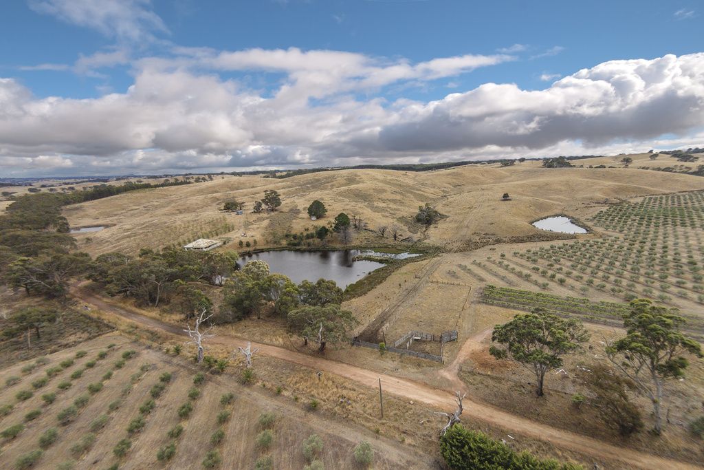 30 Lintons Lane, Glenhope VIC 3444, Image 0