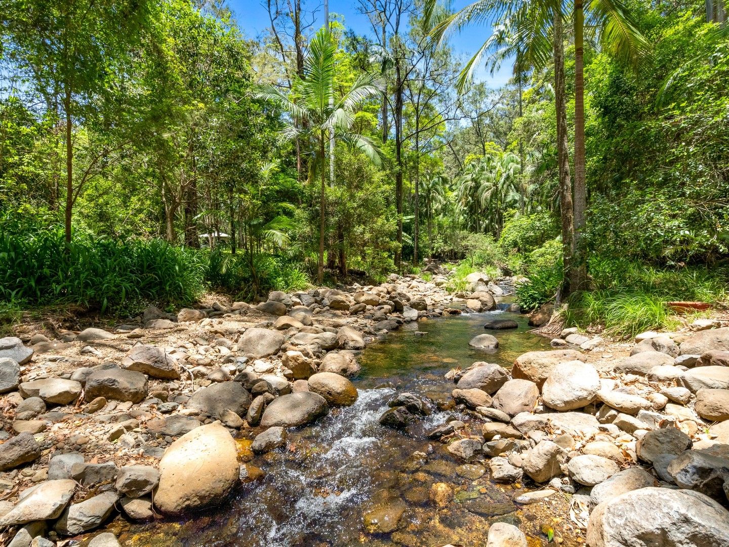 66 Cedar Creek Falls Road, Tamborine Mountain QLD 4272, Image 0