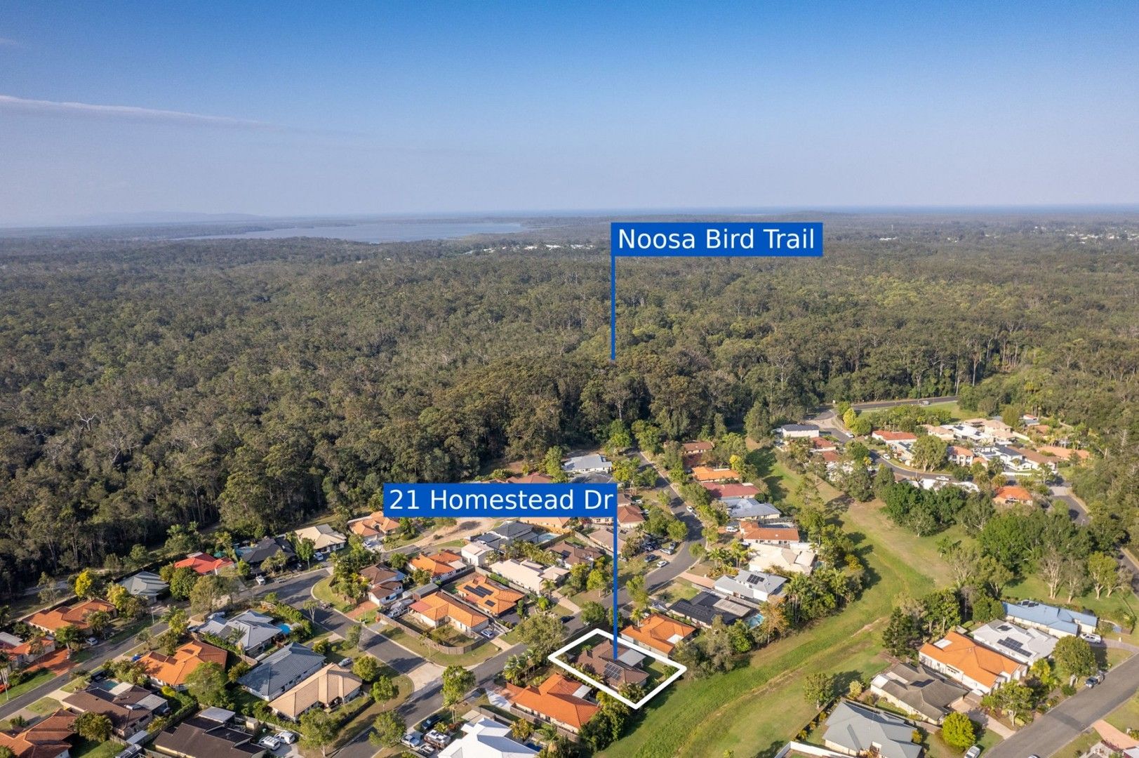 21 Homestead Drive, Tewantin QLD 4565, Image 0