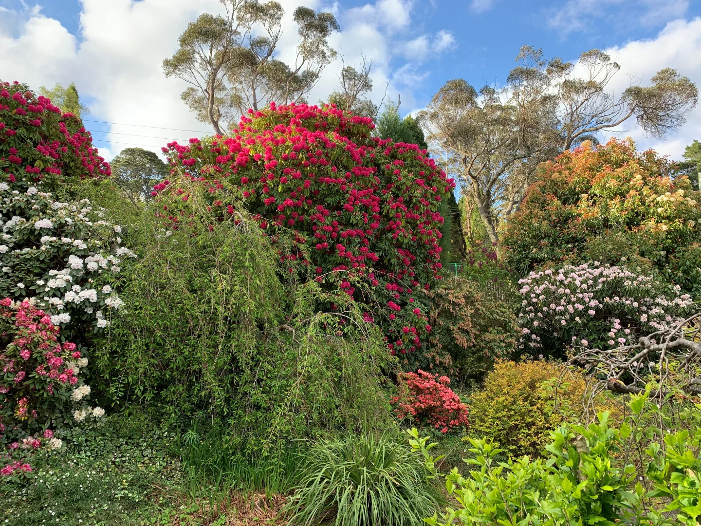 Additional image 10 of 17-17A Hartley Esplanade, Leura NSW 2780
