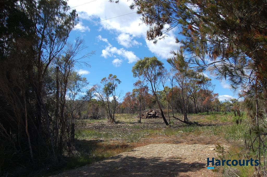 Lot 3 Soldier Settlement Road, George Town TAS 7253, Image 0