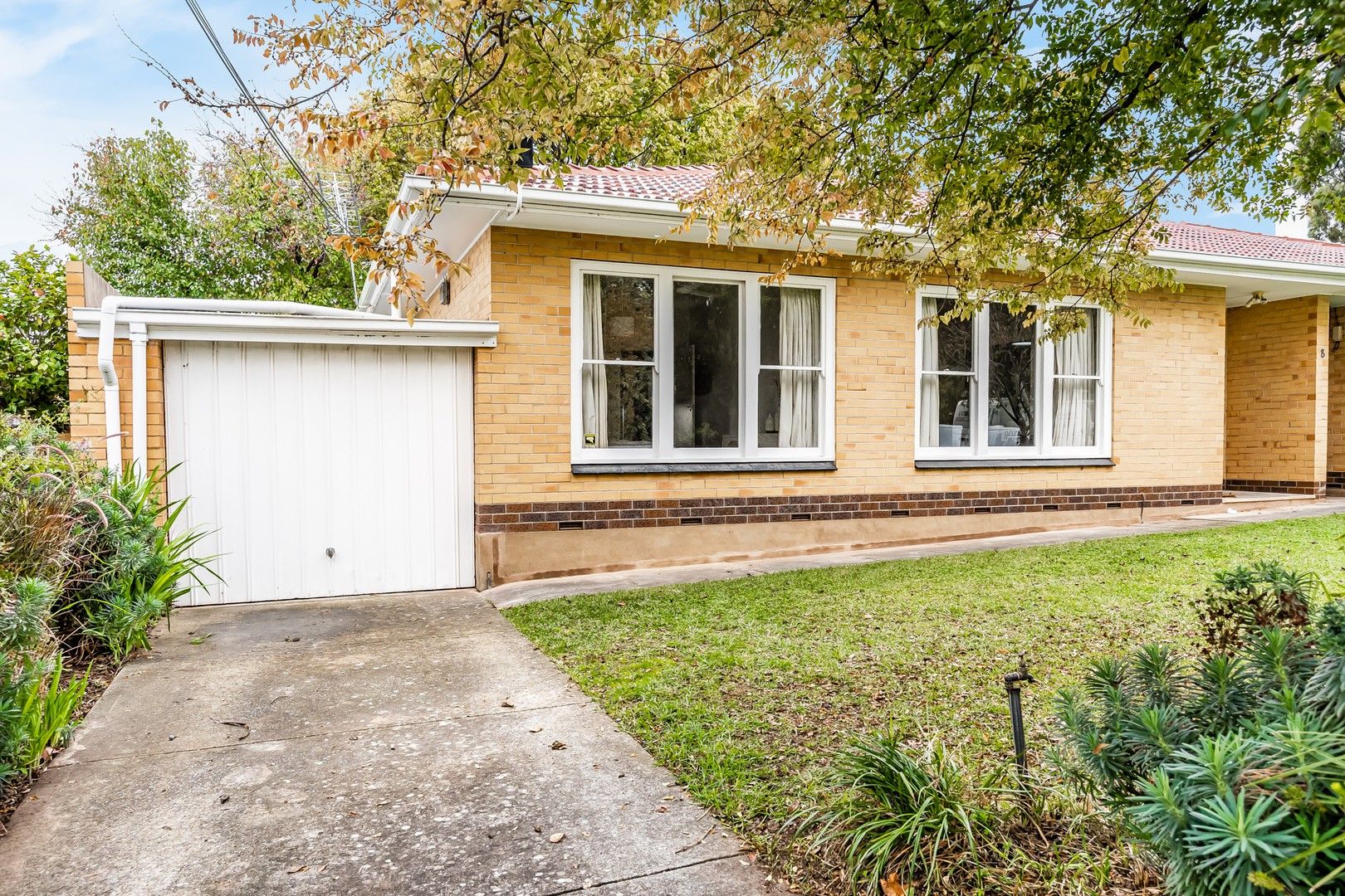 1/8 Pastro Court, Mitcham SA 5062 Domain