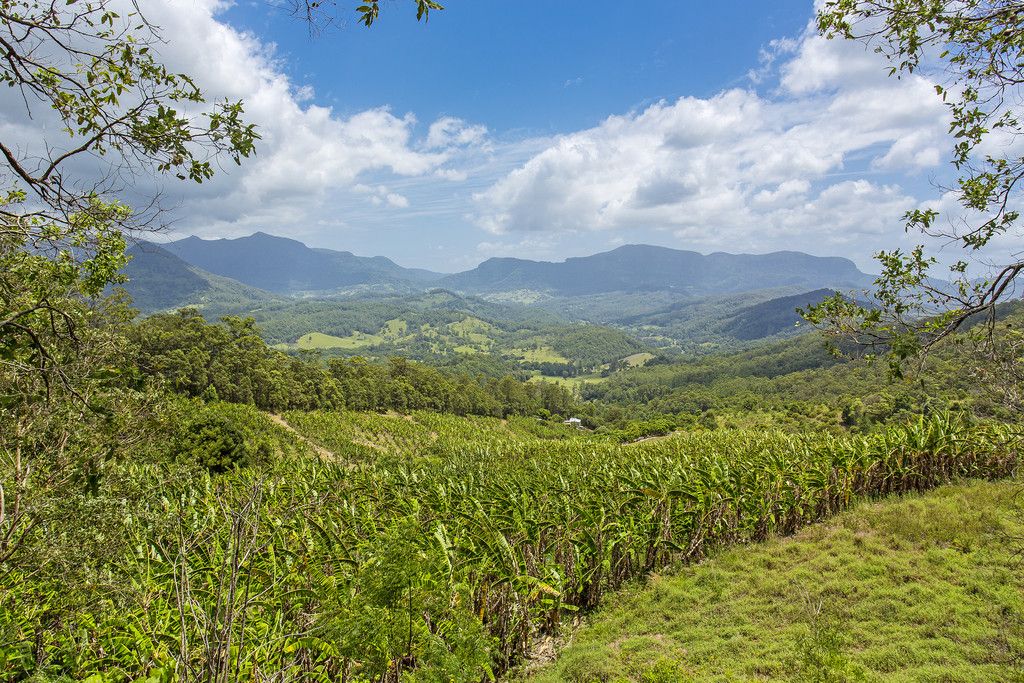 Rawsons Road, EUNGELLA NSW 2484, Image 1