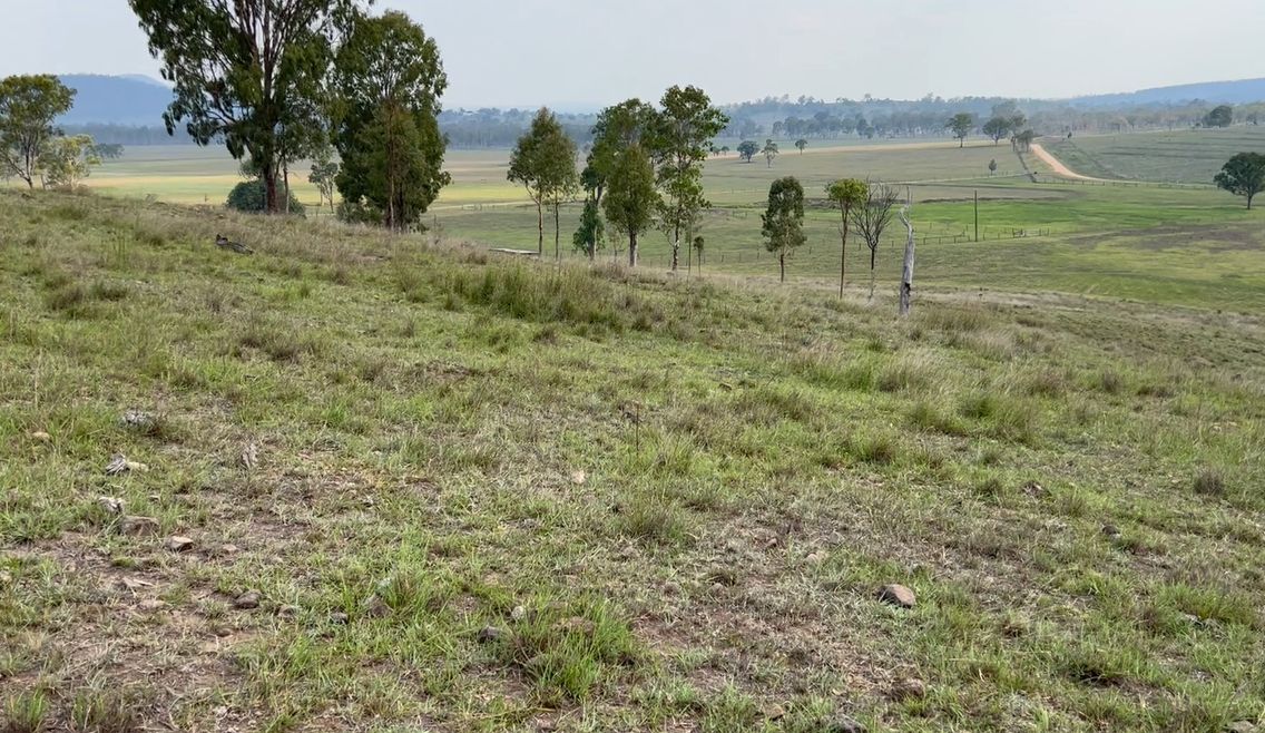 850 Rd., Windera QLD 4605 Farm for Sale Domain