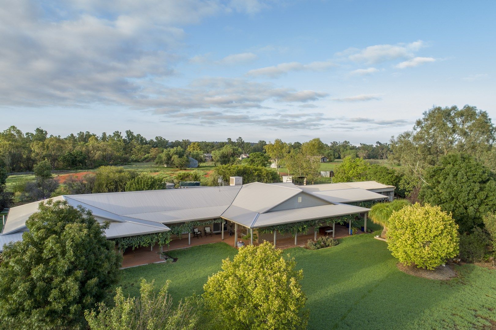 'Redbank' 102L Burraway Road, Terramungamine NSW 2830, Image 0