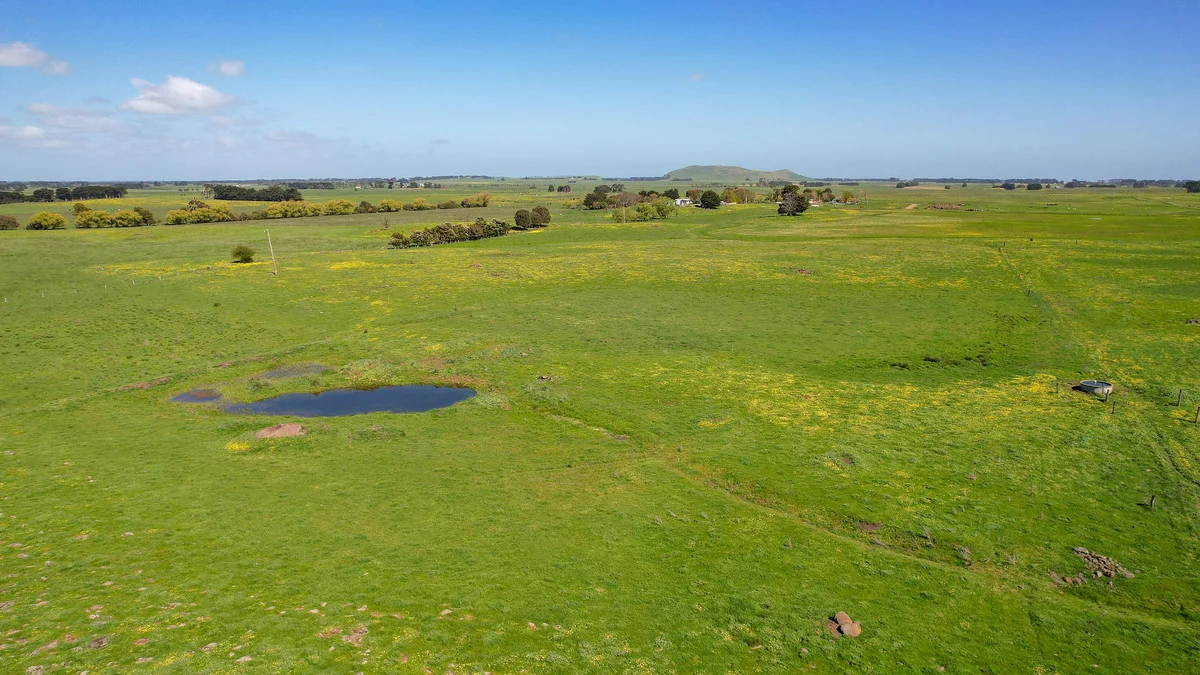 Additional image 36 of 170 Allans Road, Framlingham VIC 3265