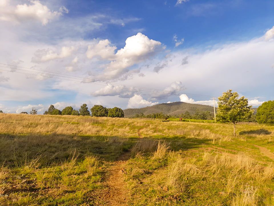 Brigalow Street, Bingara NSW 2404, Image 2