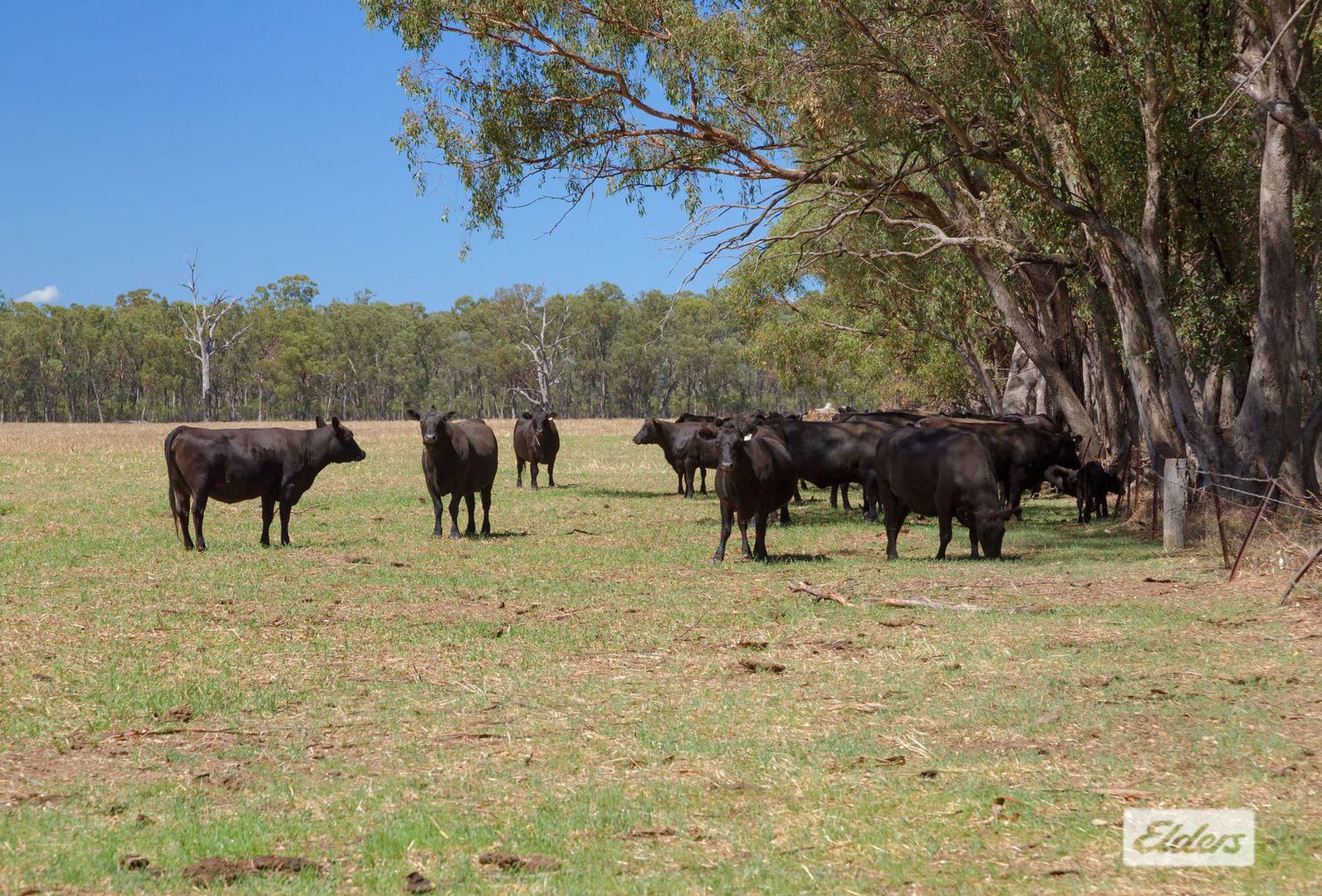 191 Fishers Road, Barnawartha VIC 3688, Image 1