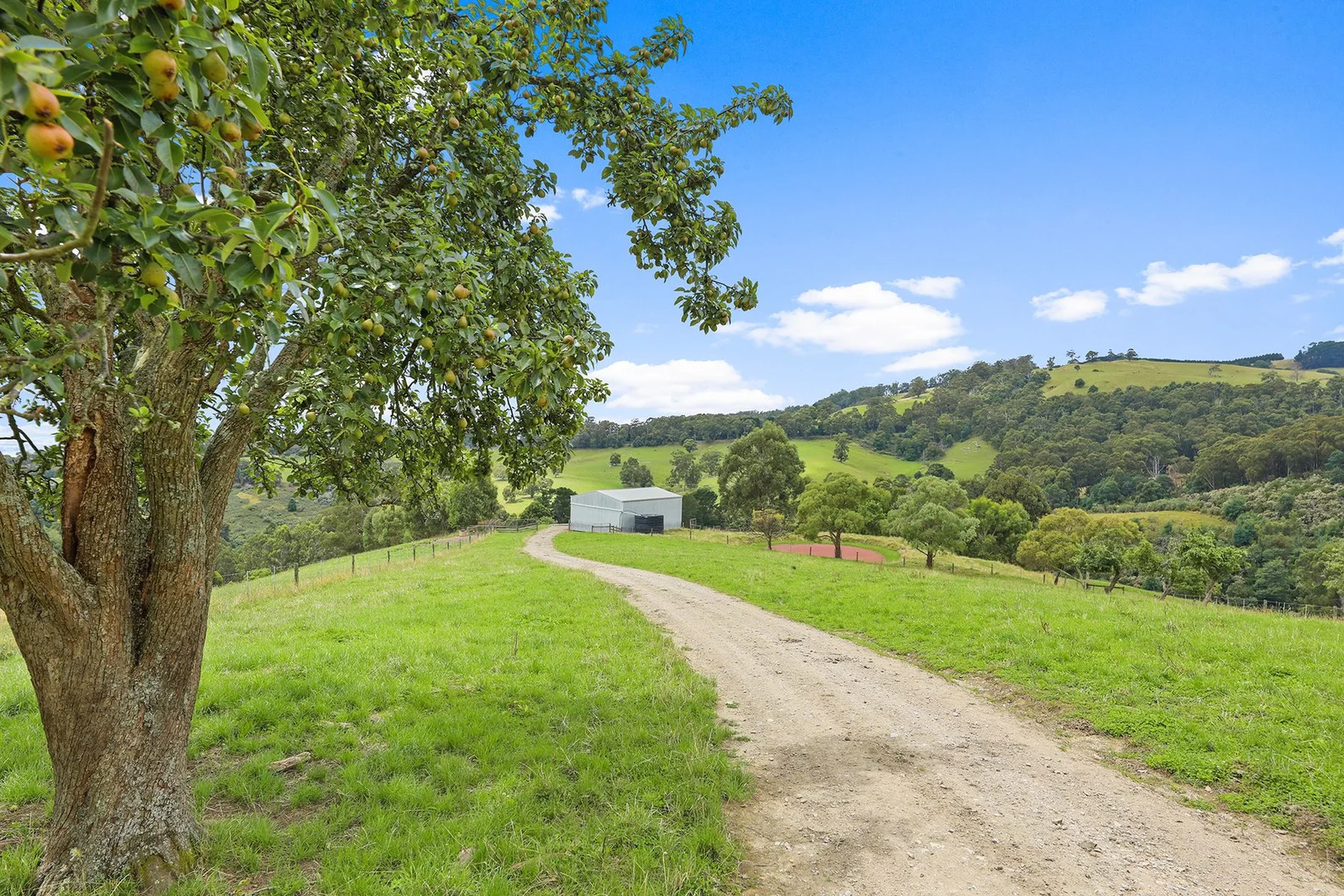 Additional image 24 of 244 Mirboo North-Trafalgar Road, Trafalgar South VIC 3824