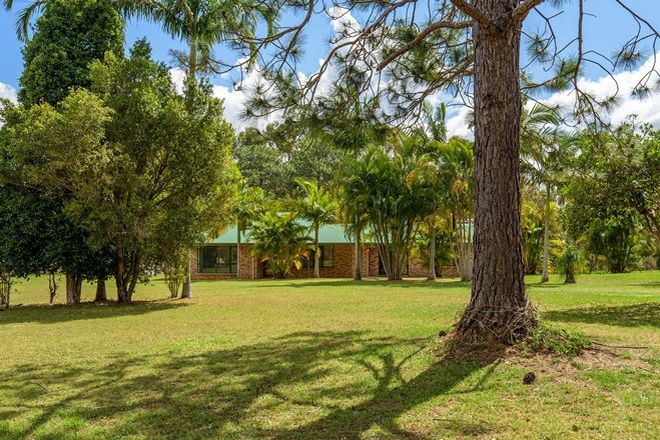 Picture of 5 Bobrei Court, WALLU QLD 4570