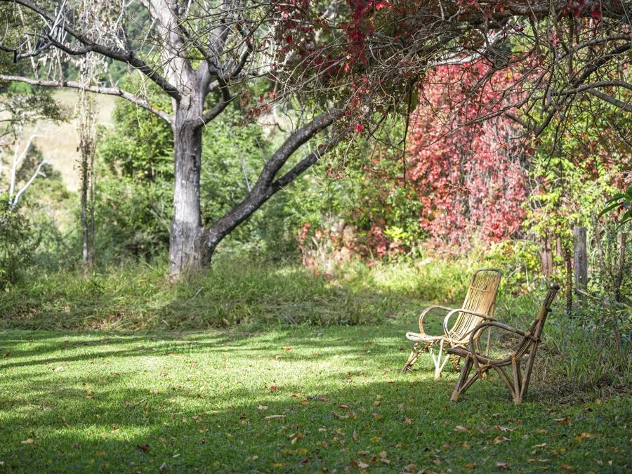 Additional image 22 of 210 Fridays Creek Road, Upper Orara NSW 2450