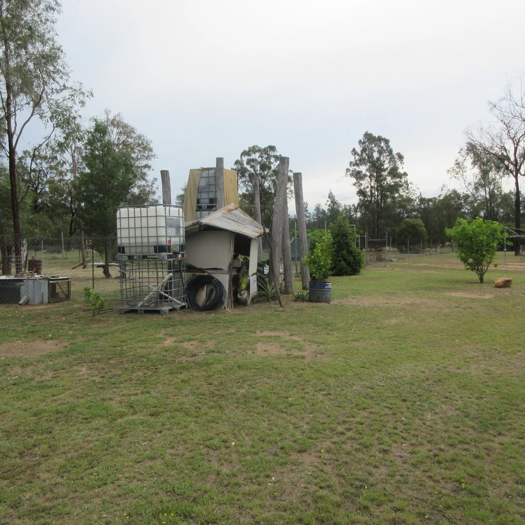 Image 14