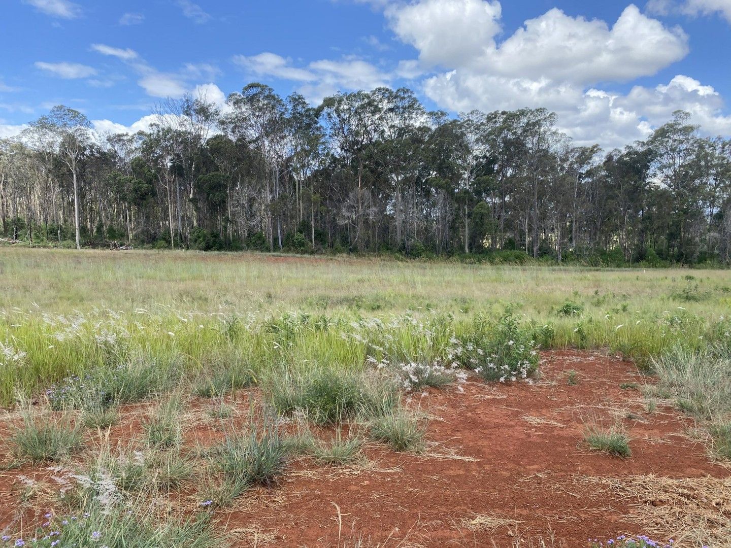 Lot 197 Premier Drive, Kingaroy QLD 4610, Image 0