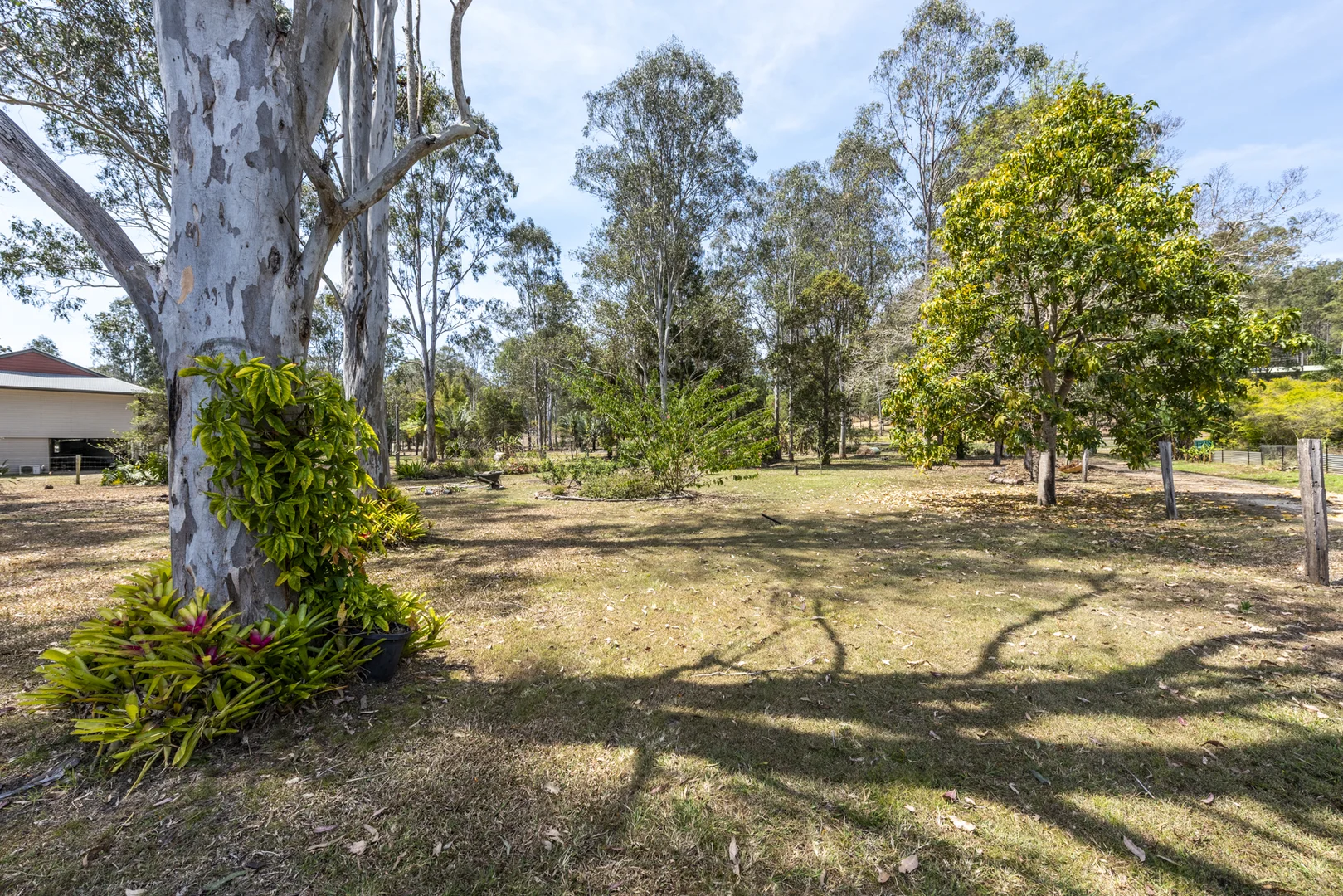 Image 29