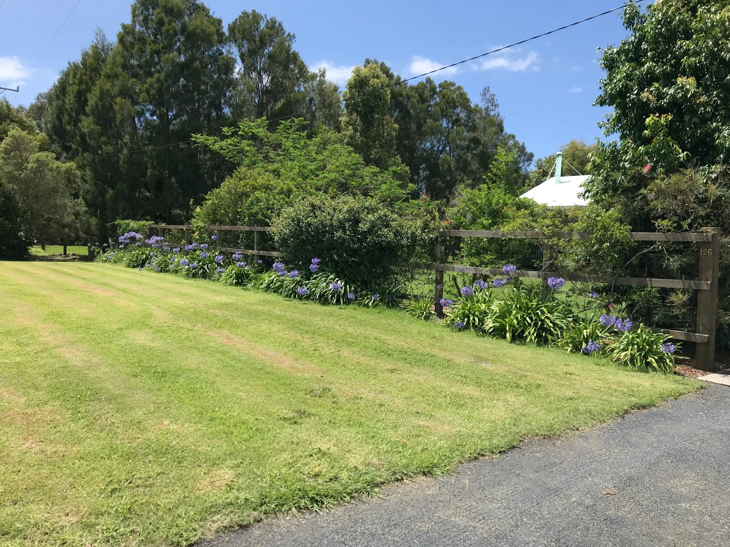 Image 15