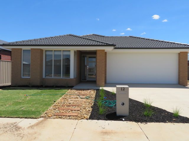 4 bedrooms House in 12 Maple Street ECHUCA VIC, 3564