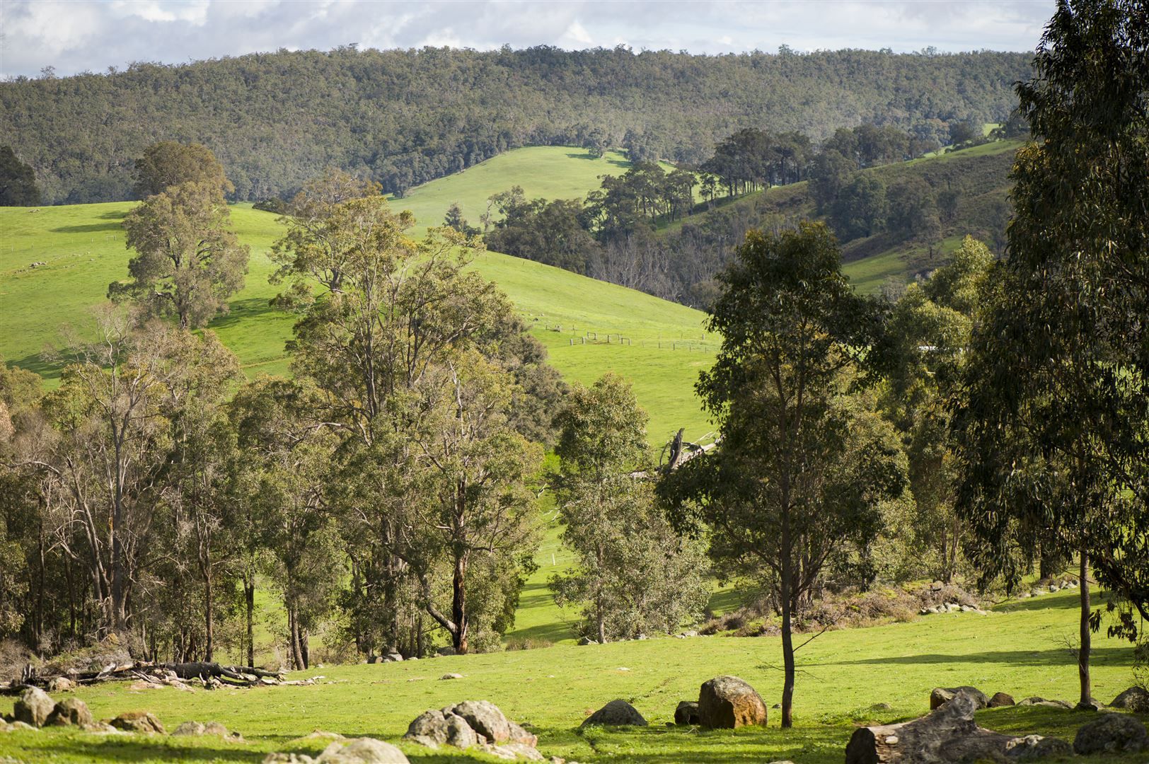 2493 Donnybrook-Boyup Brook Road, Glen Mervyn WA 6239, Image 0