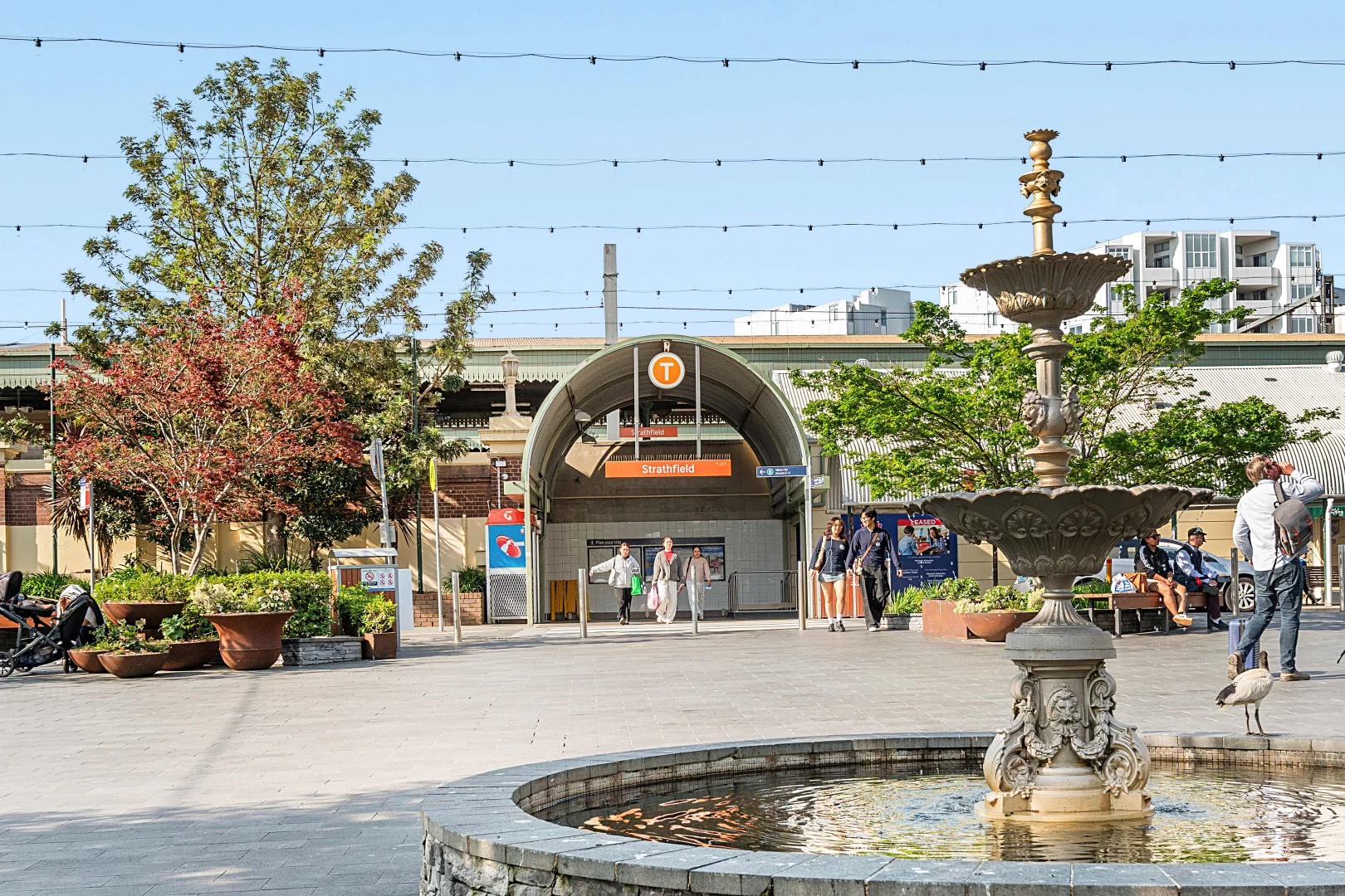 Additional image 11 of 11/12-18 Morwick Street, Strathfield NSW 2135