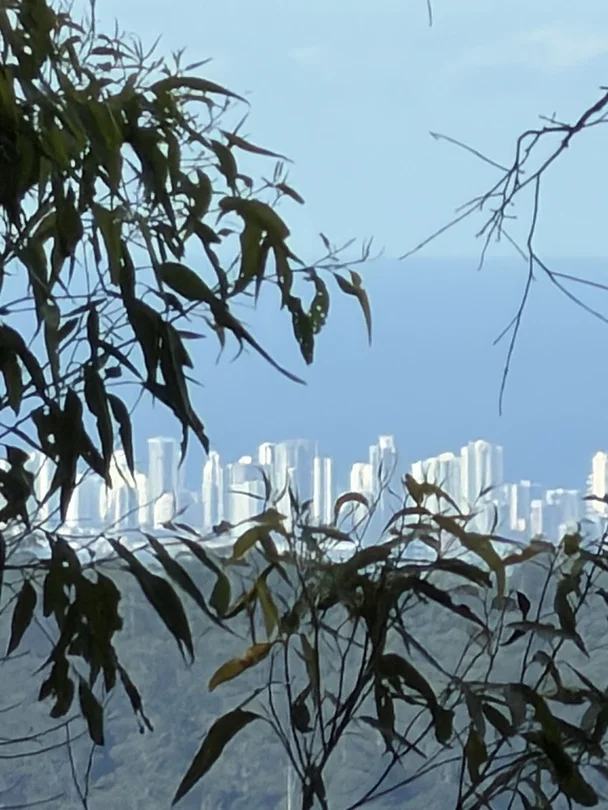 Primary image of Springbrook QLD 4213