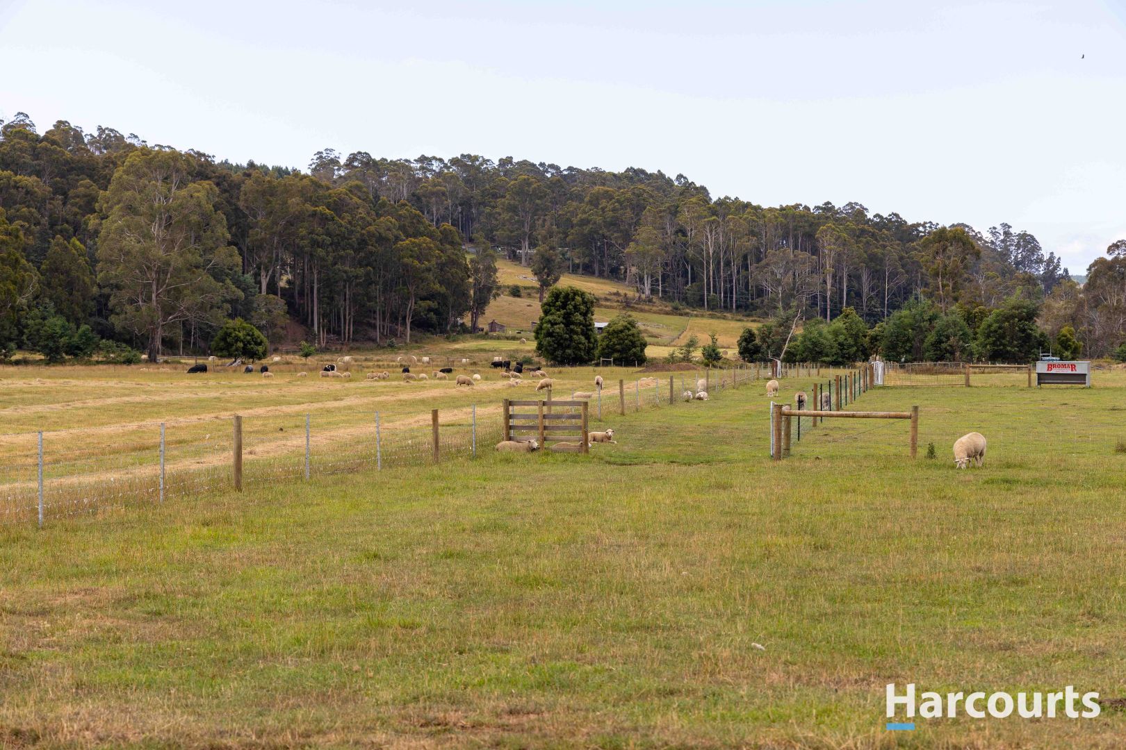 3257 Sheffield Road, Railton TAS 7305, Image 1