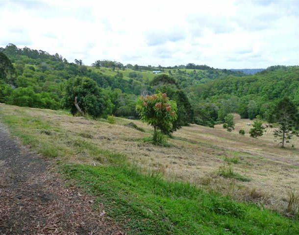 130 Burgum Road, North Maleny QLD 4552