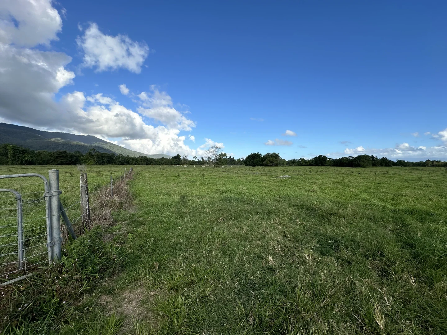 Image 23
