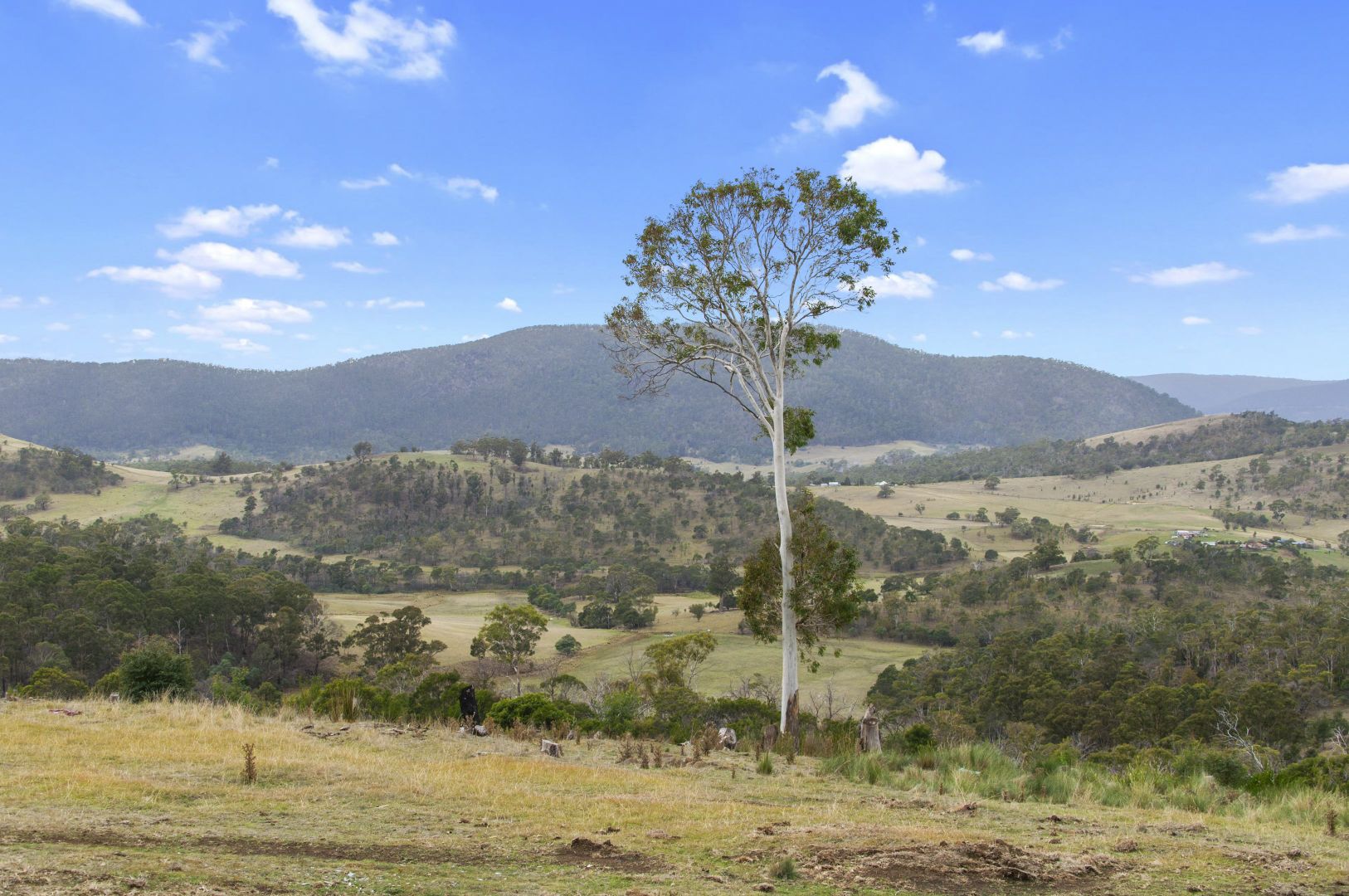 268 Grices Road, Tea Tree TAS 7017, Image 1