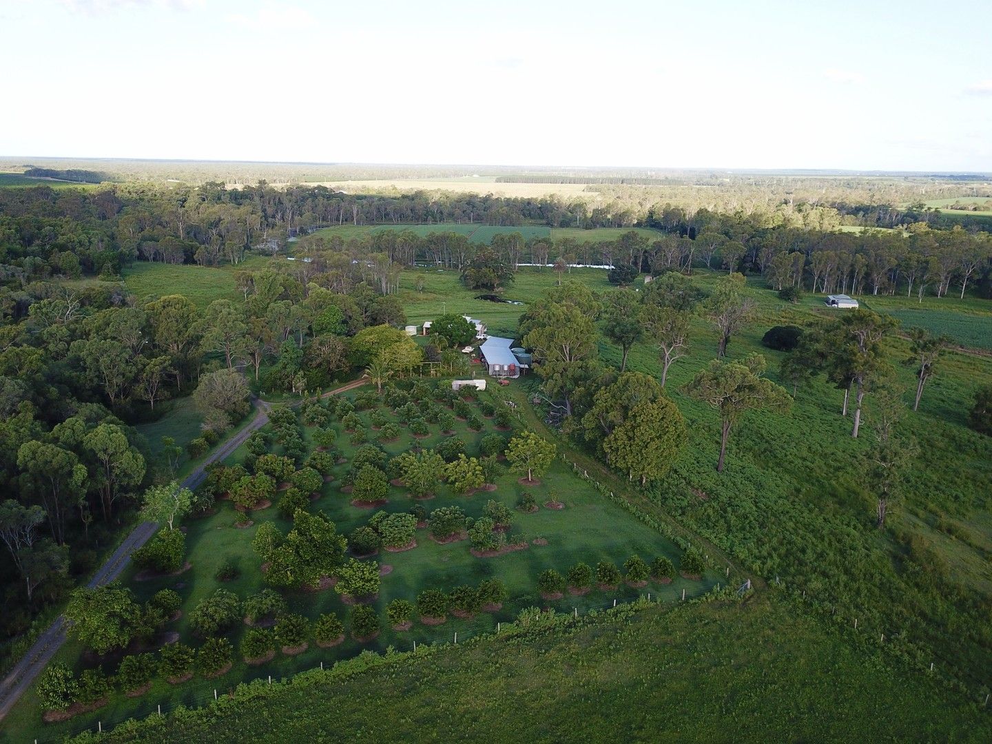 84 Foleys Road, North Gregory QLD 4660 Farm for Sale Domain