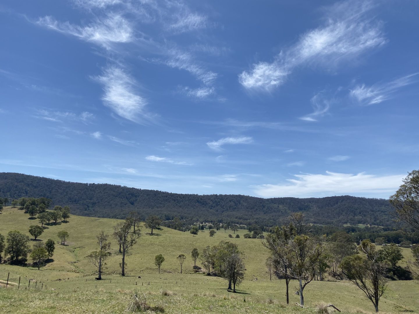 Lot 3 Greendale Road, Bega NSW 2550, Image 2