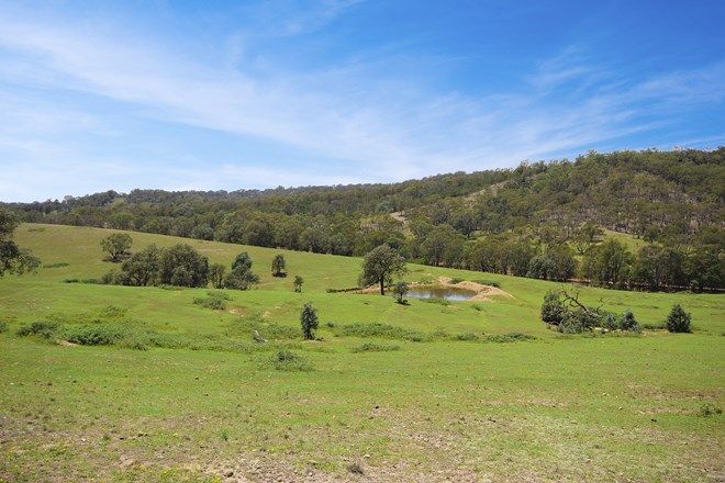 Picture of 787 Inverary Rd, PADDYS RIVER NSW 2577