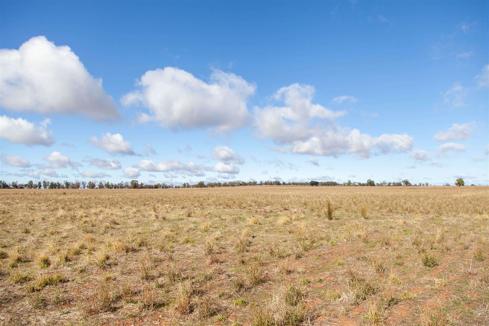 "Weemala" The McGrane Way, Tullamore NSW 2874 Mixed Farming Property