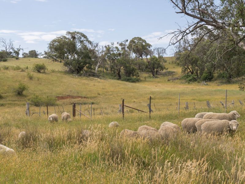 Lot 32 Boongarra Road, Laggan NSW 2583, Image 1