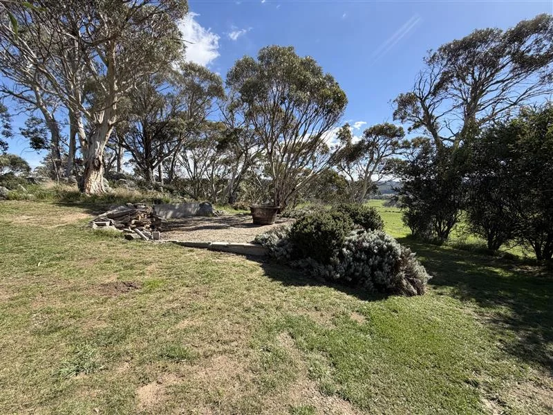 Additional image 21 of 90 Golden Age Road, Grosses Plain NSW 2627