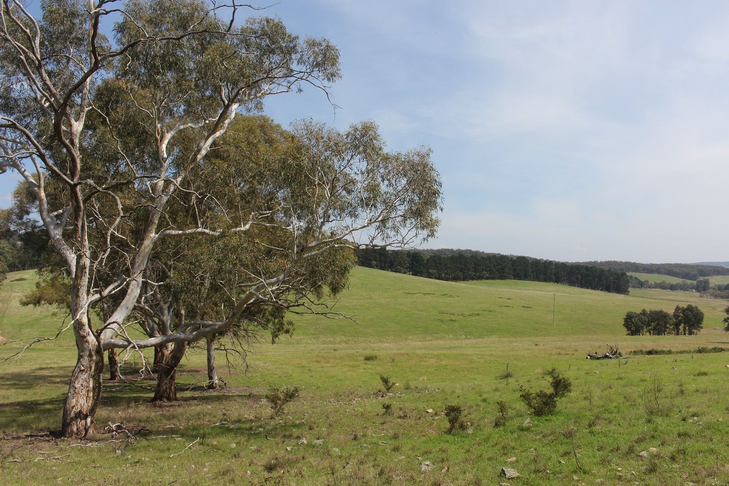 LOT 11 Bulls Pit Road, Brayton NSW 2579, Image 2