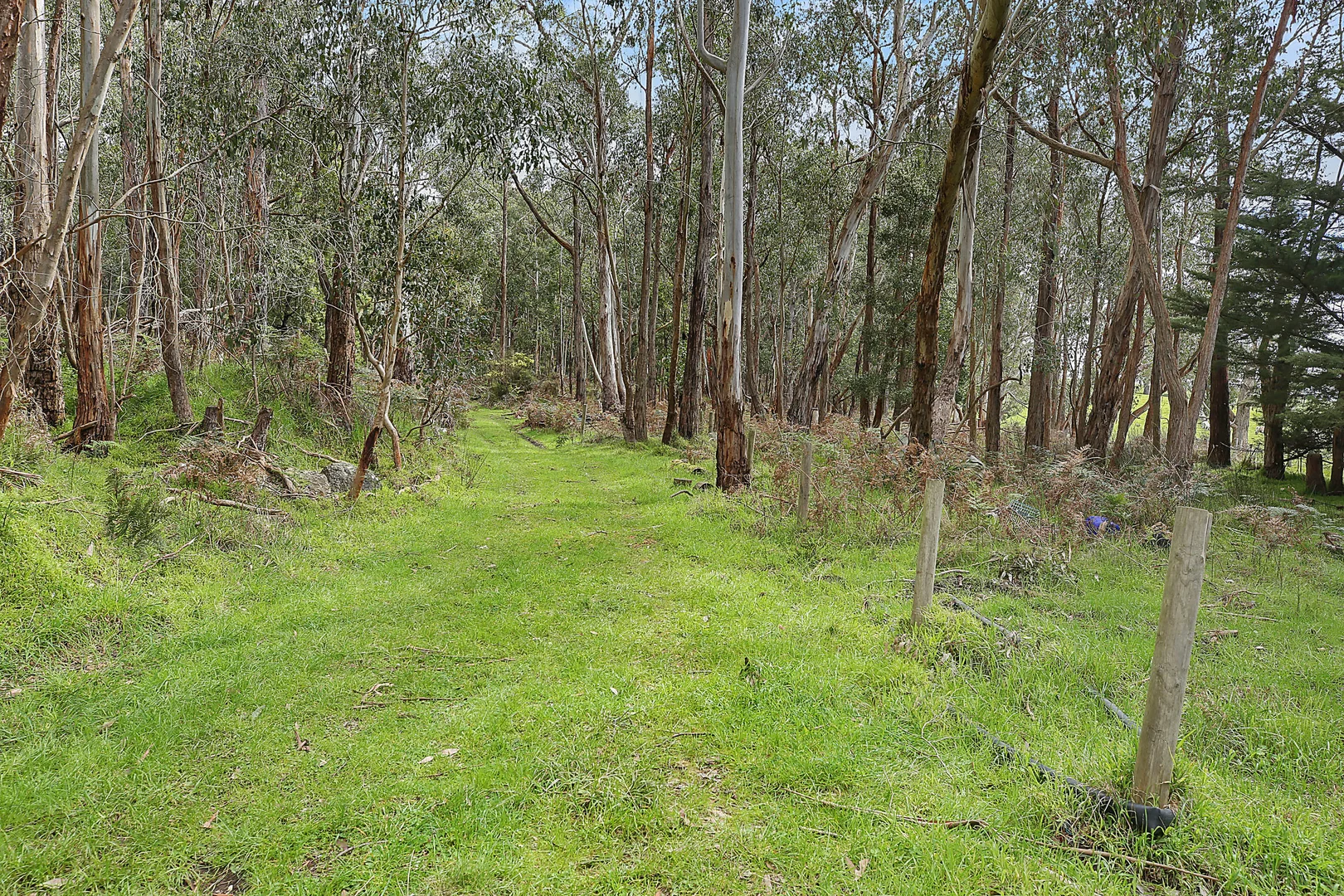 Additional image 18 of 340 Old Cobden-Port Campbell Road, Jancourt VIC 3266