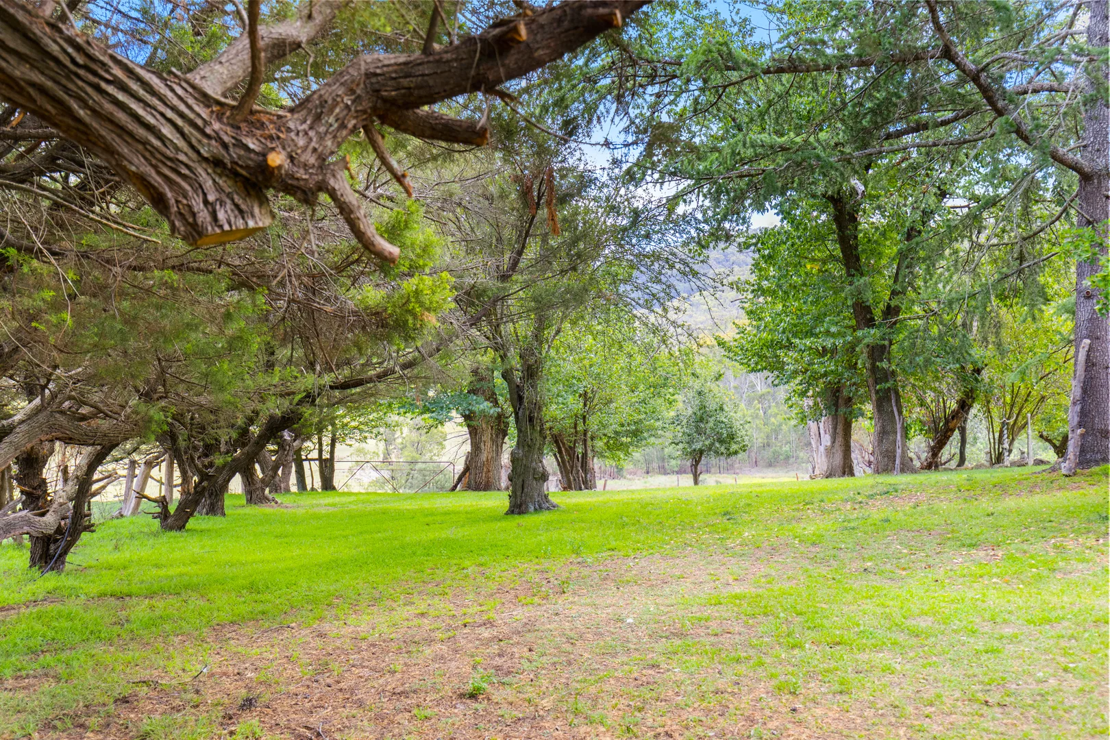 Additional image 17 of 1497 Coxs Creek Road, Rylstone NSW 2849