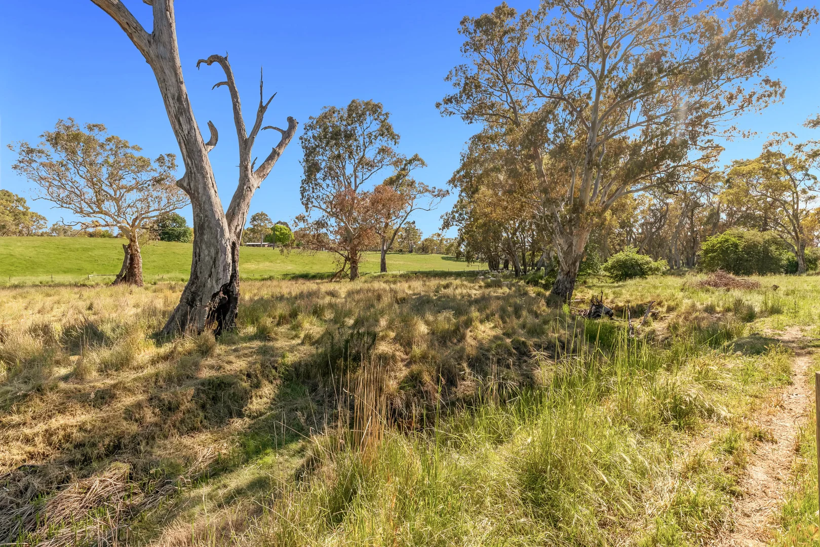 Additional image 16 of 873 Watts Gully Road, Forreston SA 5233