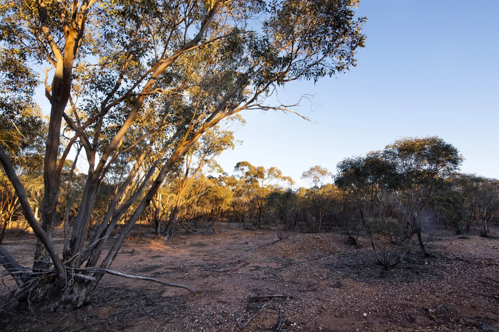 Additional image 8 of 32A + 32D Eaglehawk-Neilborough Road, Neilborough VIC 3570