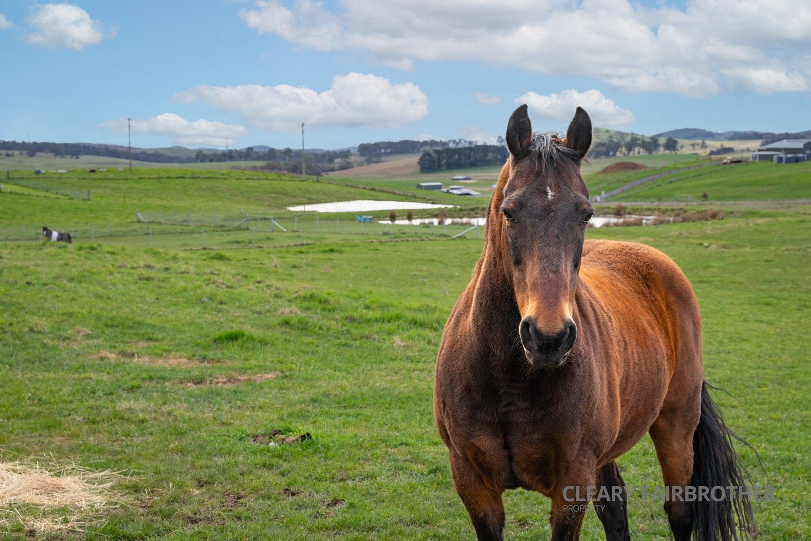 4 bedrooms Acreage / Semi-Rural in 6 Bracken Glen Lane OBERON NSW, 2787