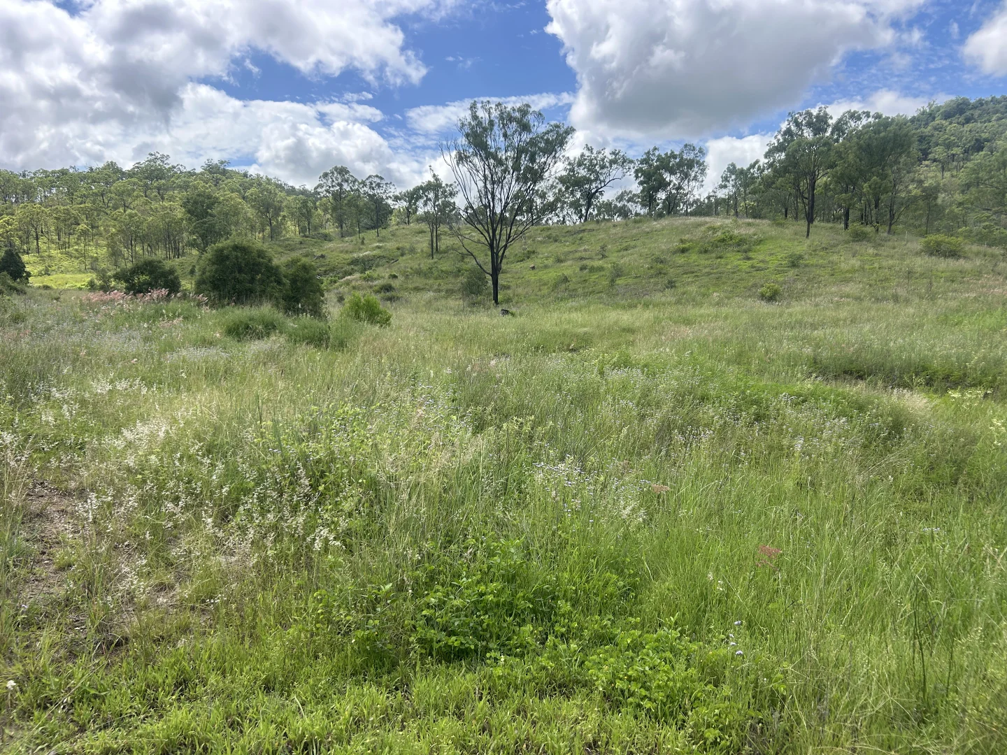 Image 19