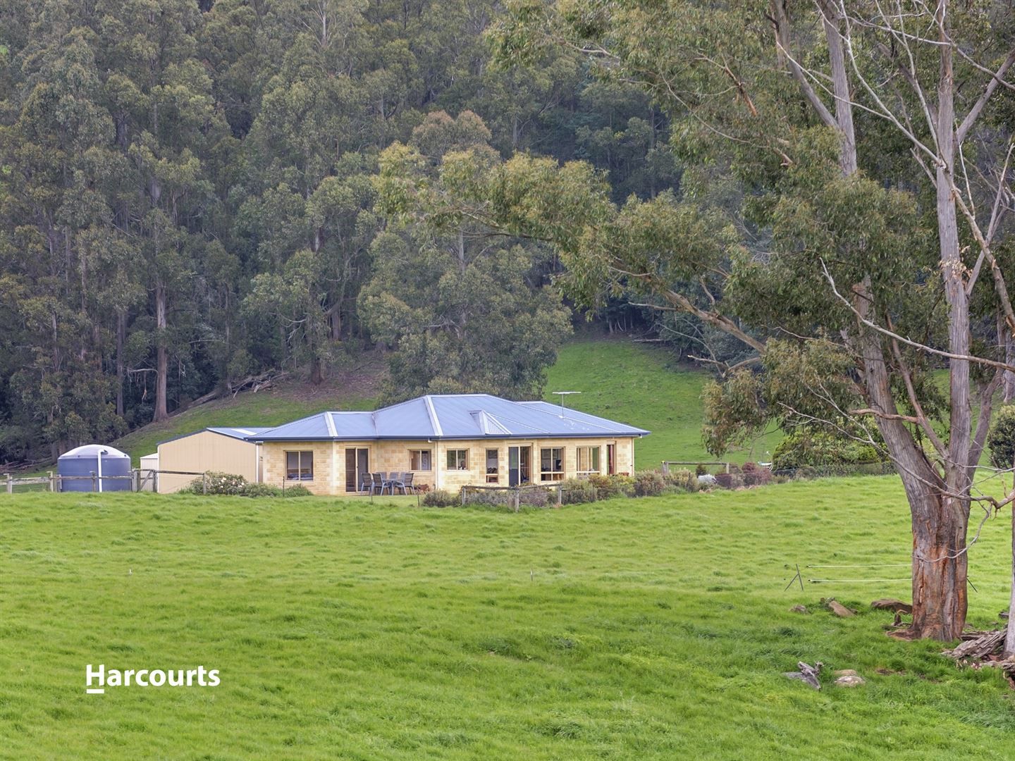 220 Halls Track Road, Sandfly TAS 7150, Image 2