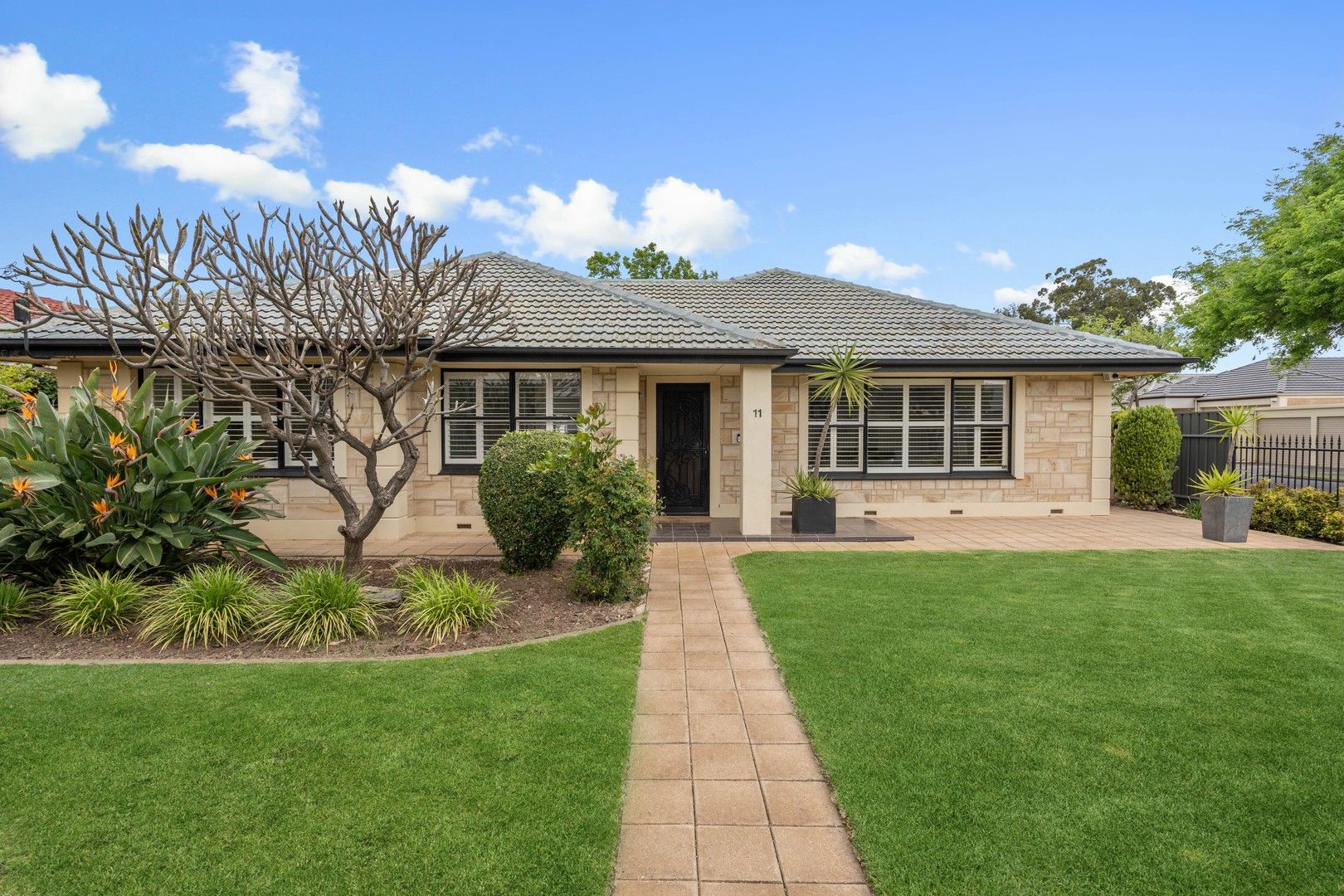 11 Peter Street, Lockleys SA 5032, Image 0