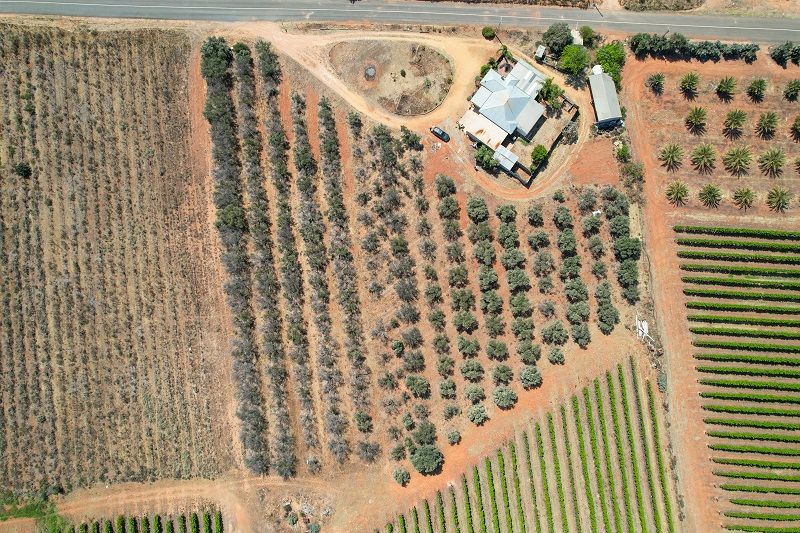 12 Gray Road, Moorook SA 5332 - House for Sale - $199,000 | Domain